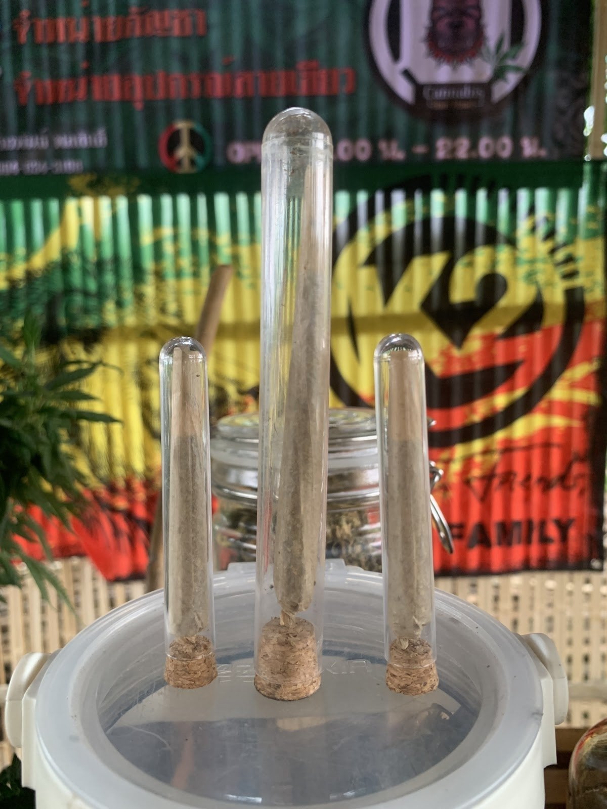 Cannabis Banhaad