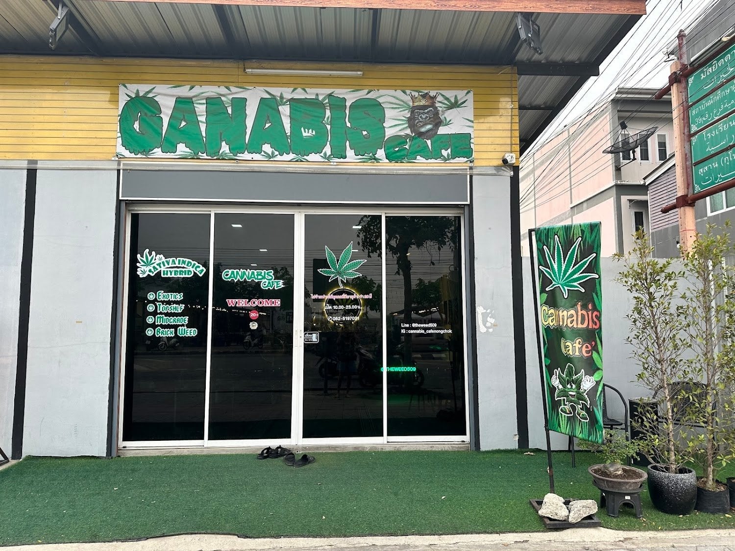 Cannabis 509 Cafe'