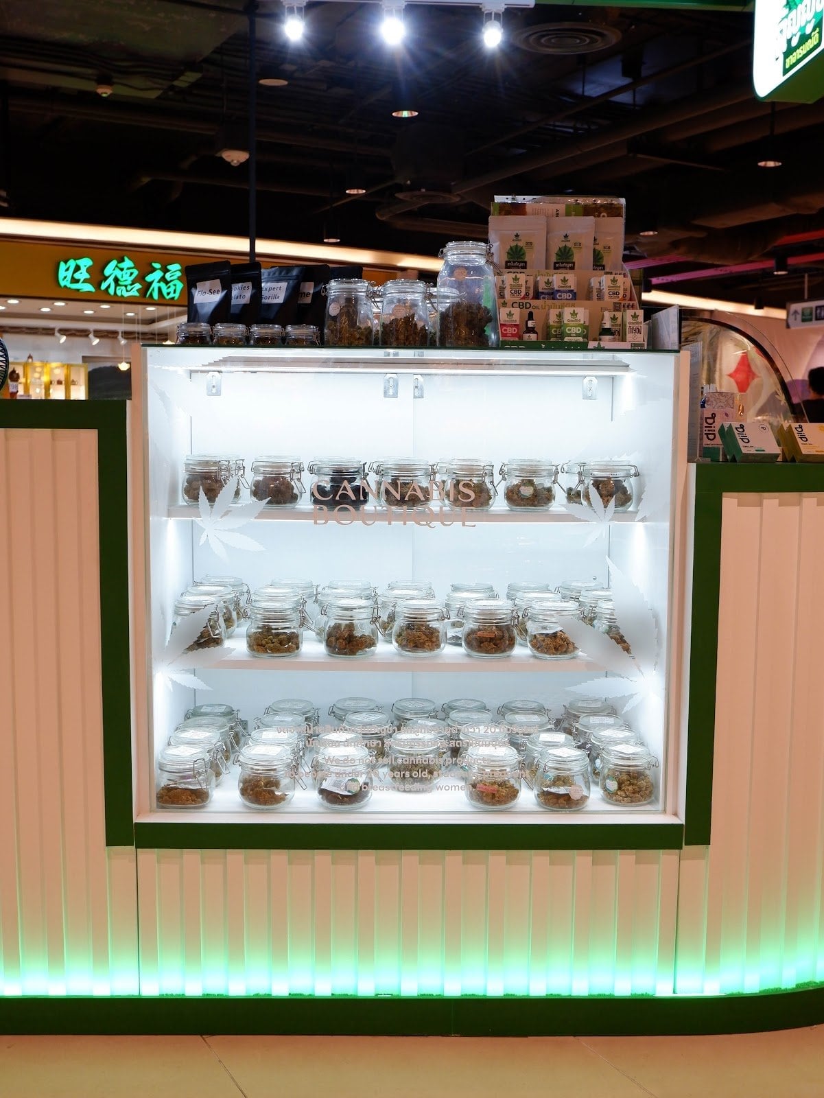 GoGreen By Kanya - Maya Chiang Mai