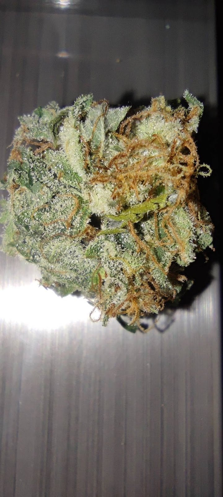 Cannabey's