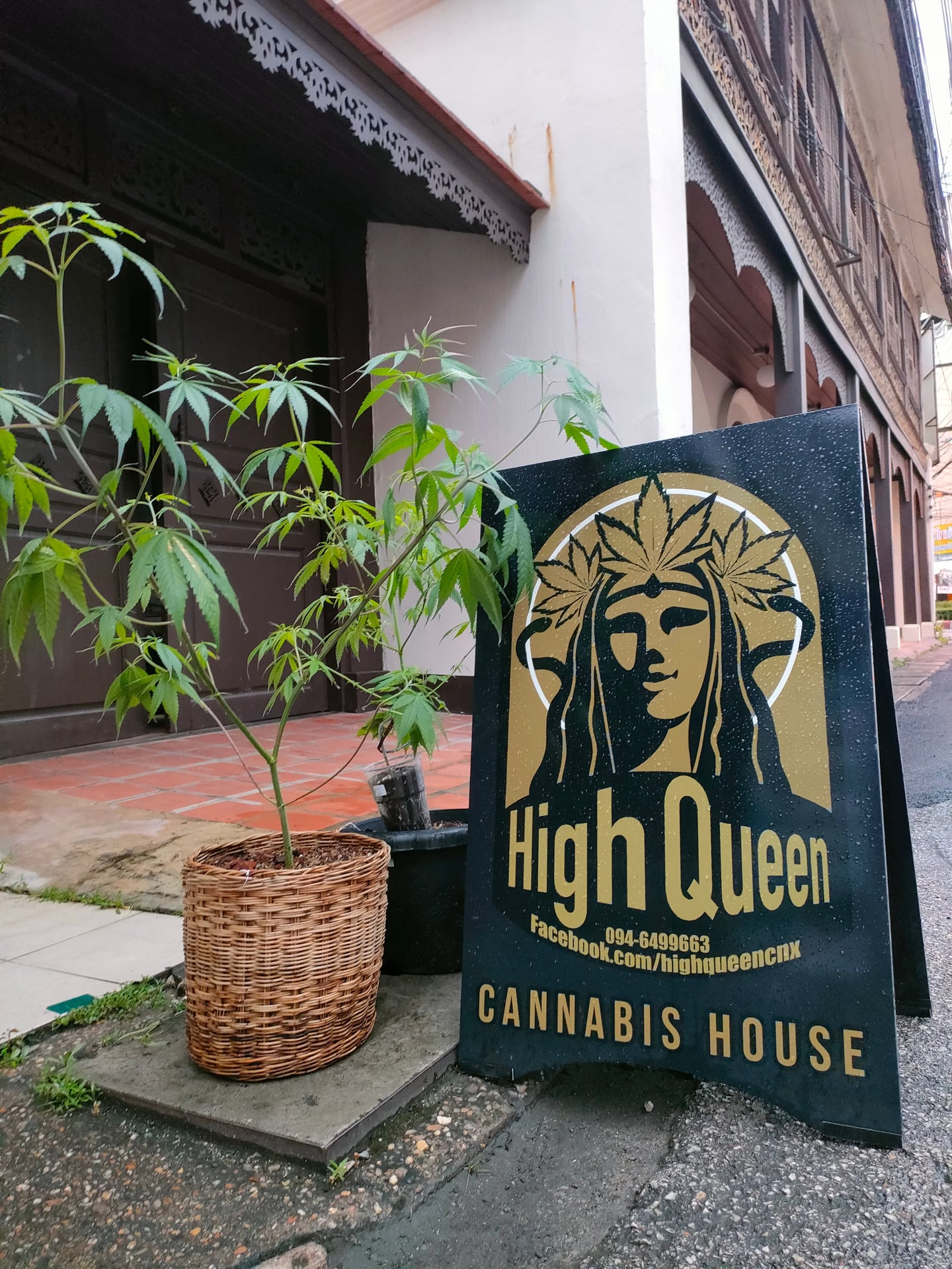 High Queen CNX
