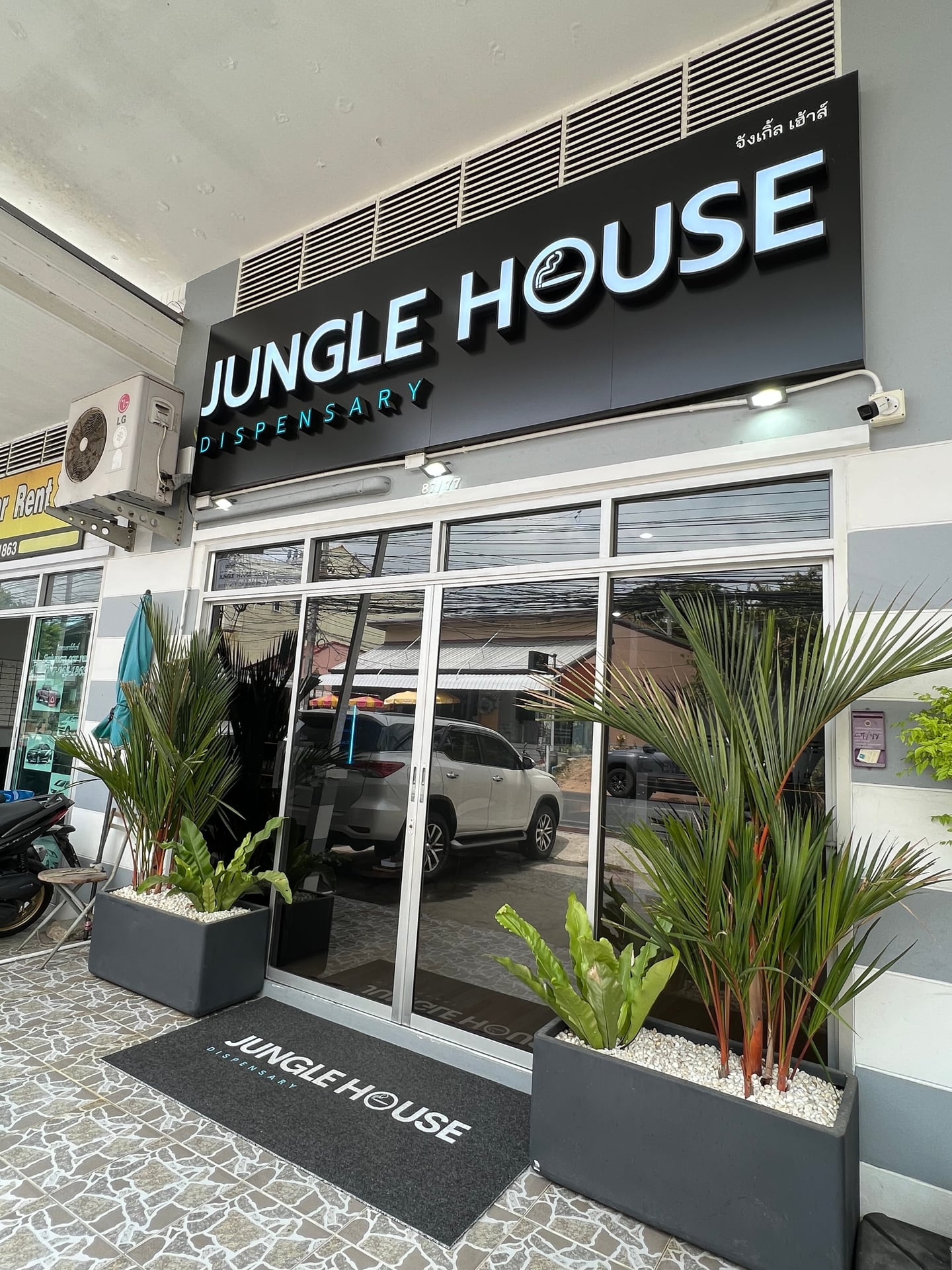 Jungle House