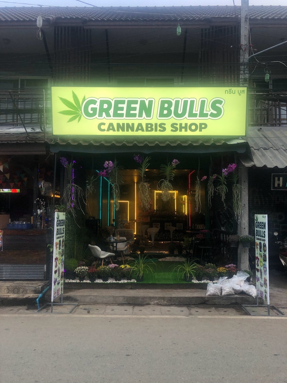 Green Bulls