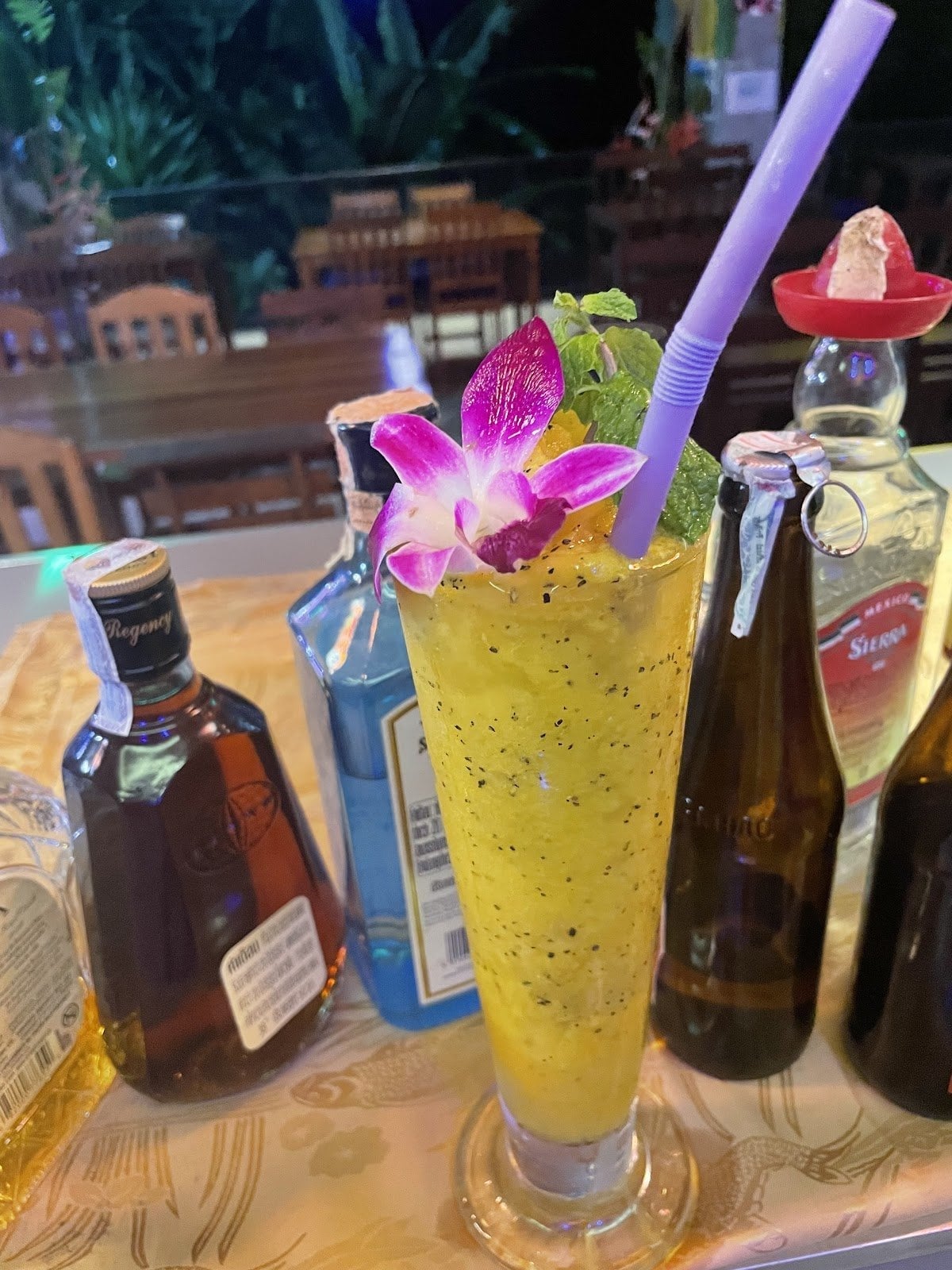 Khao Sok Rasta