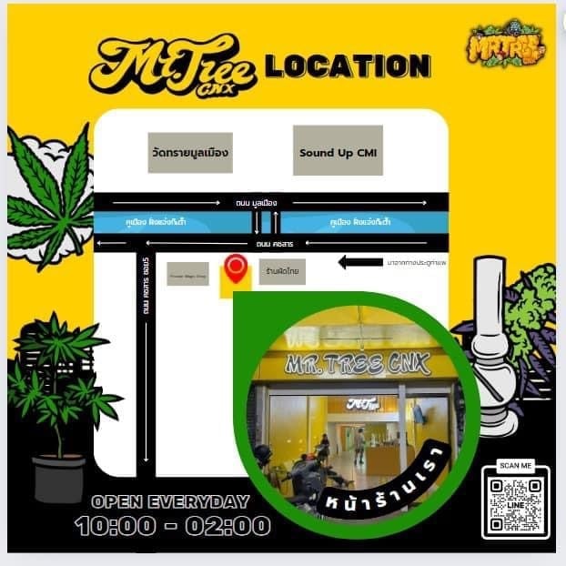 Mr.Tree CNX - Cannabis Social Club Chiang Mai