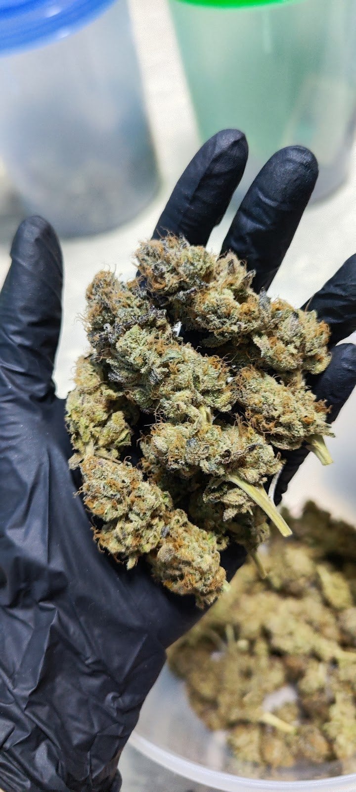 Cannabisshop & Grocery Store Kerry Express