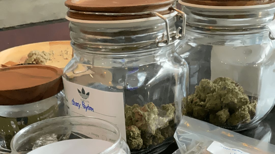 Starlights Pod X Highlife 420