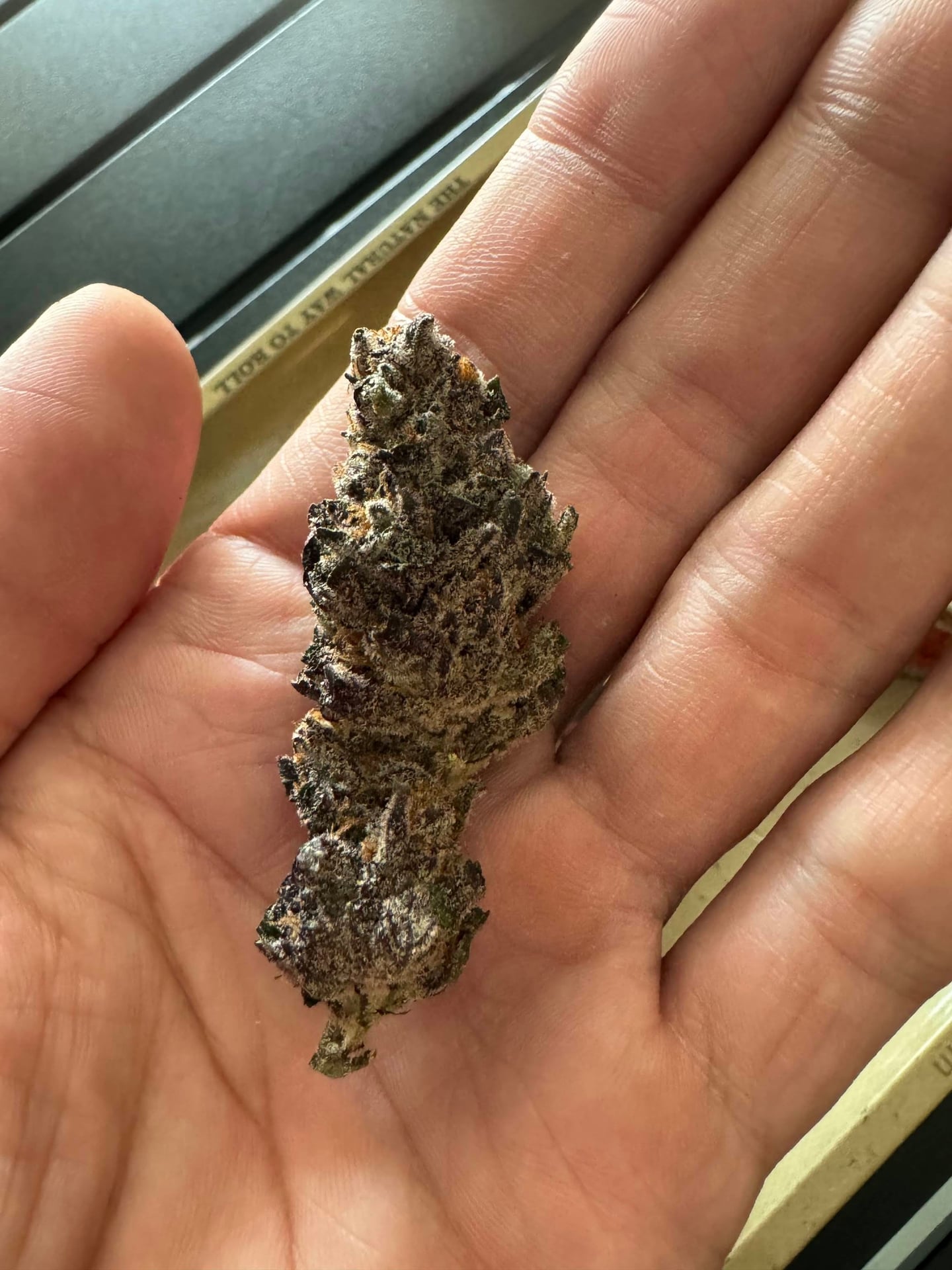 Cheeweed X Gundi420