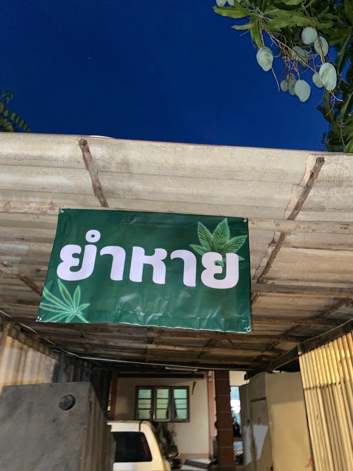 Cannabis Home