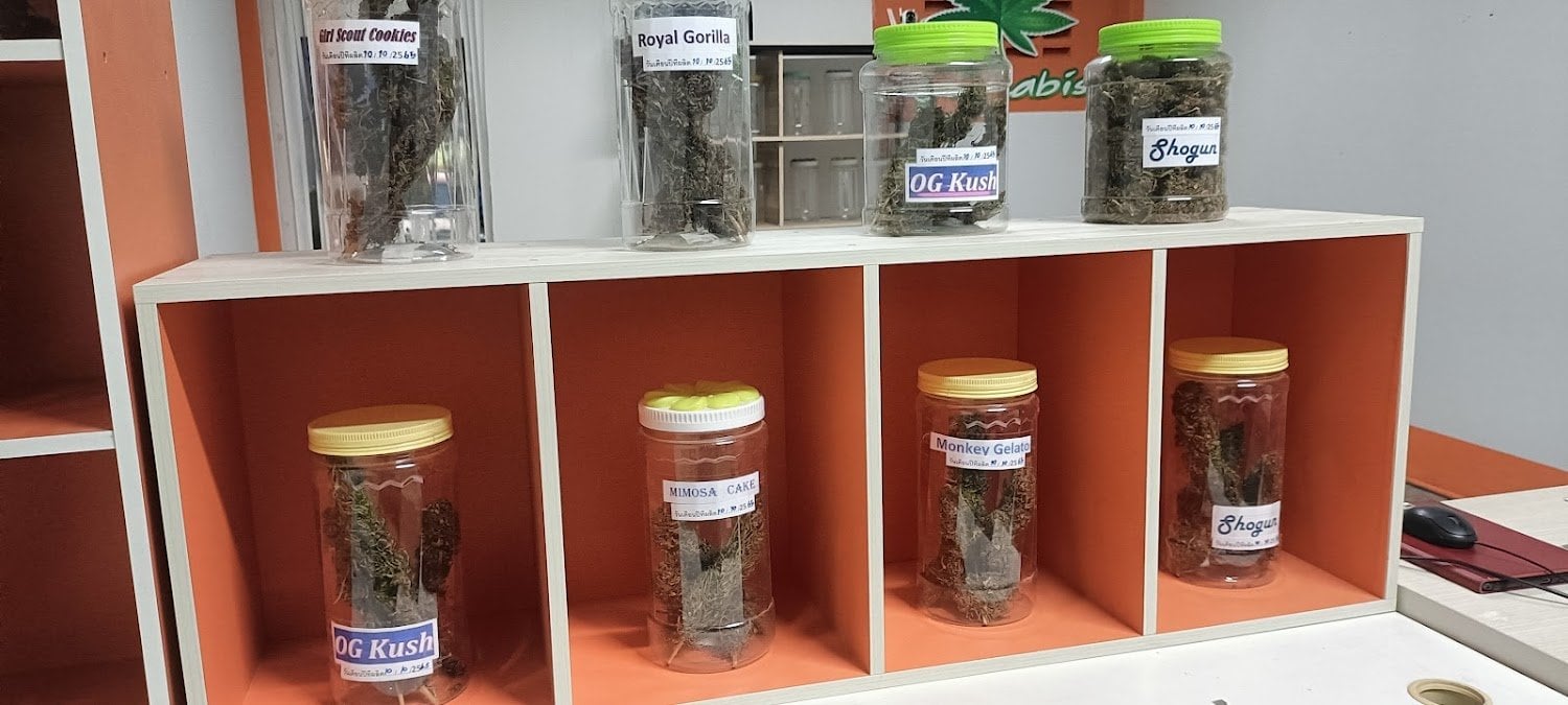 Mhopuech Cannabis