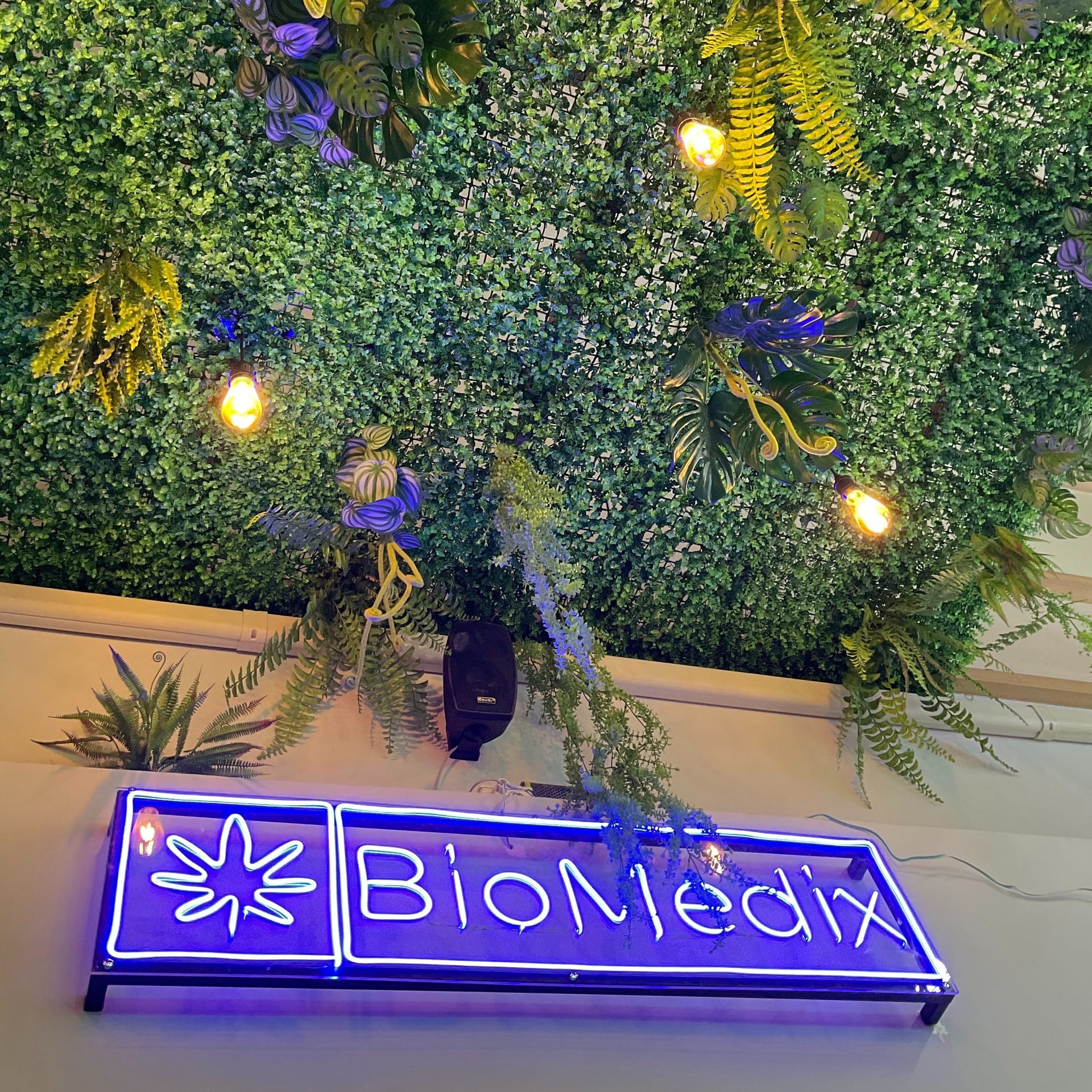 House Of Pot