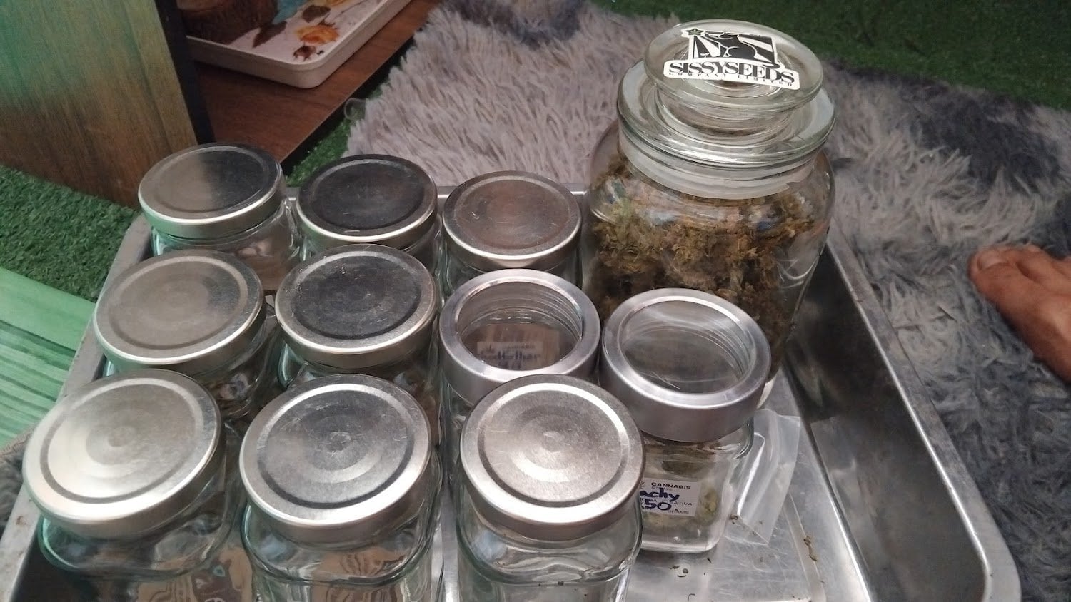 Pure Cannabis