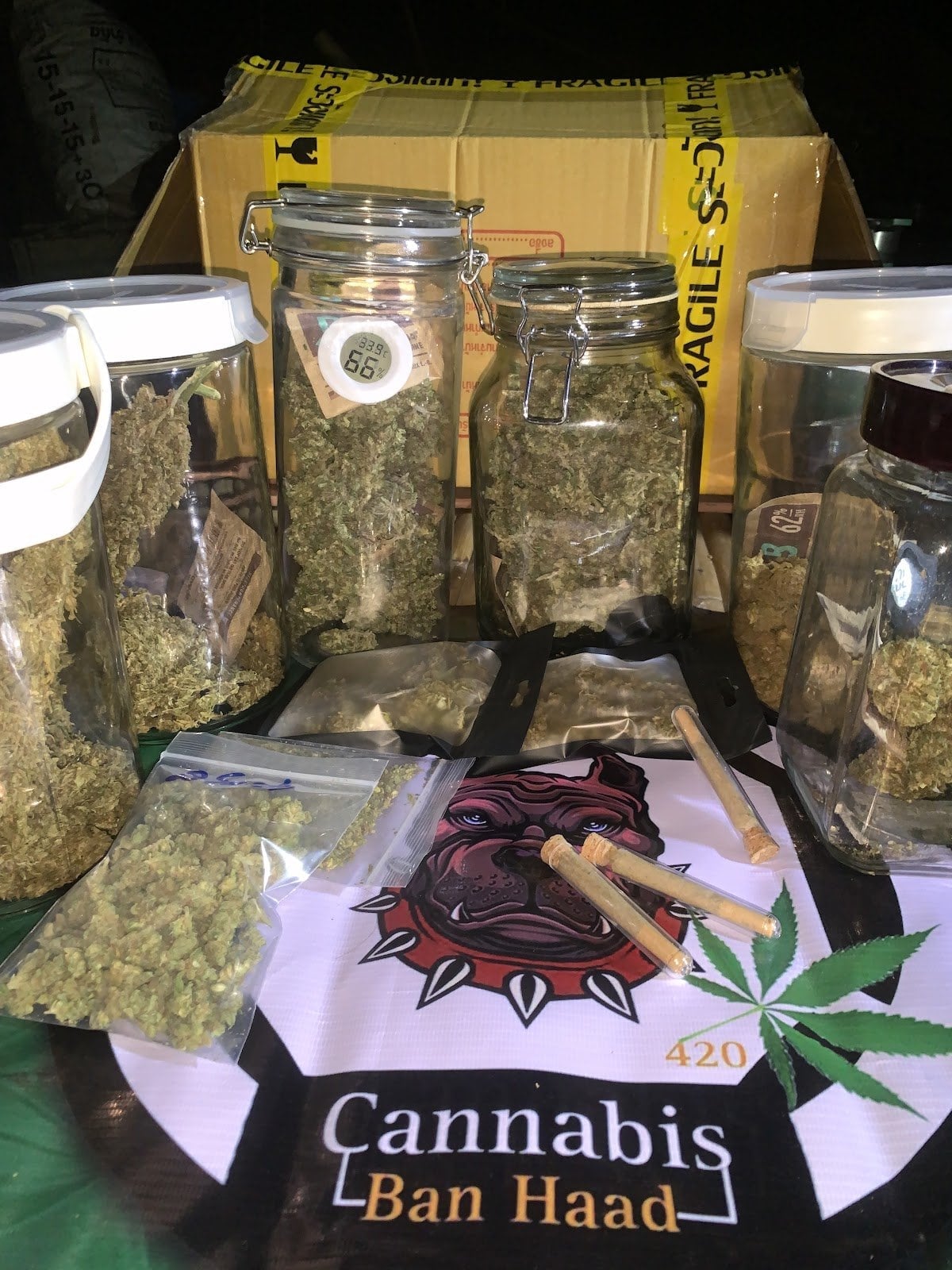 Cannabis Banhaad