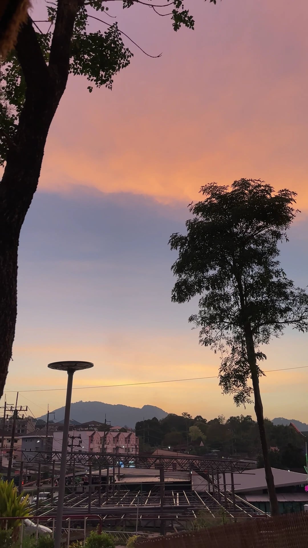 The Tropical