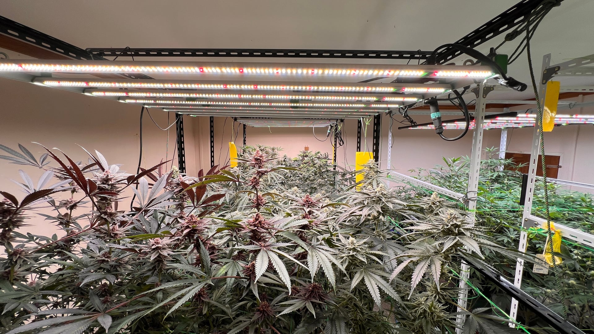 125 Living Soil