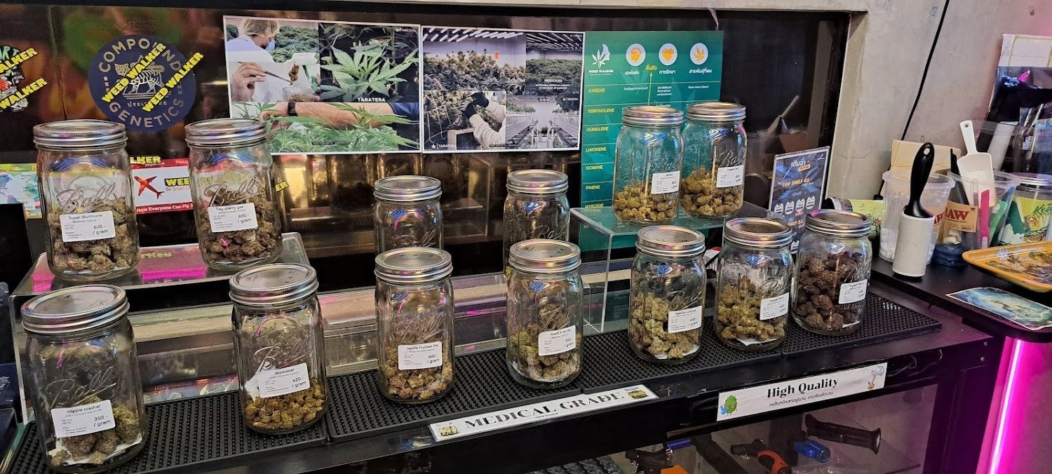 Weed Walker - Master Of Cannabis