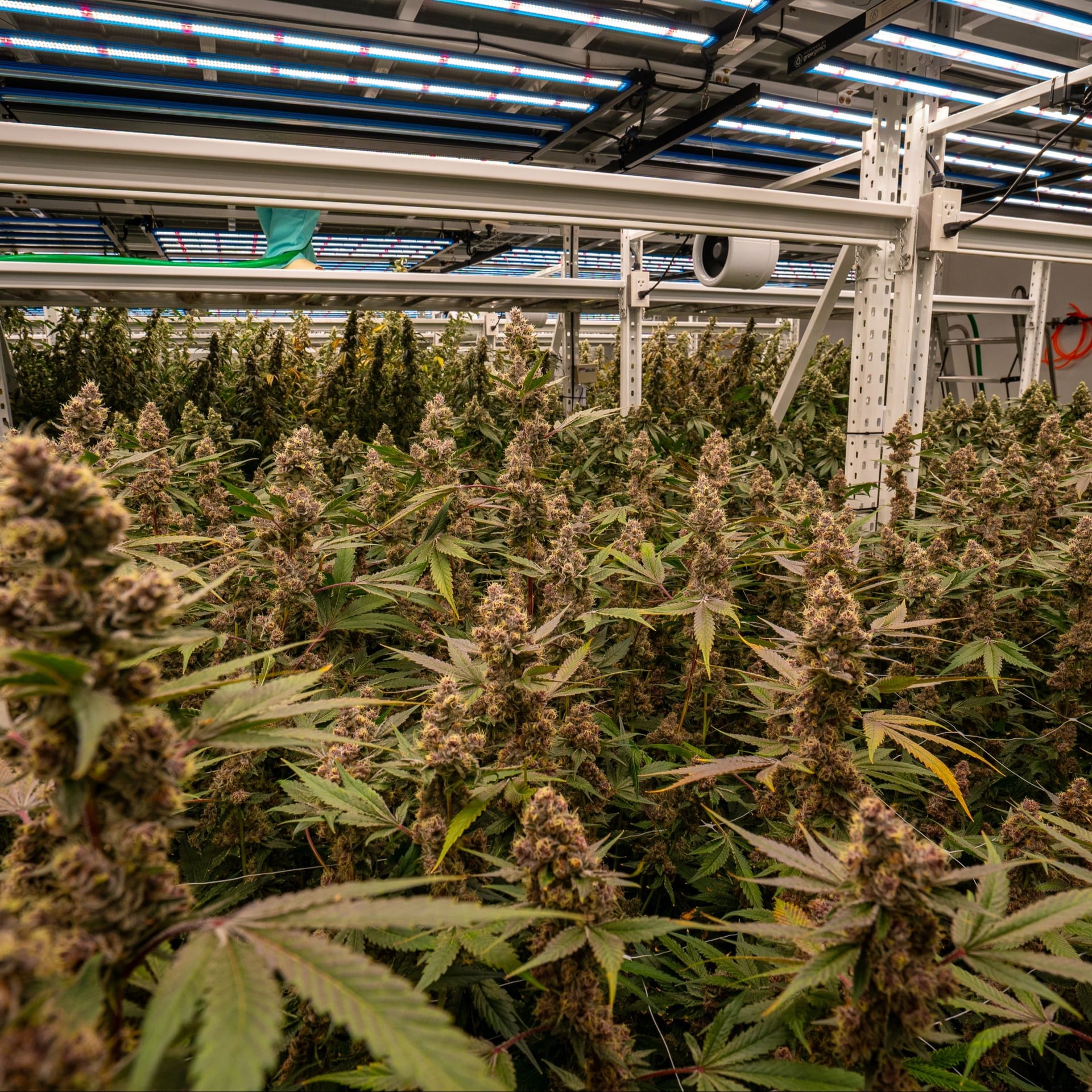TBM Farm