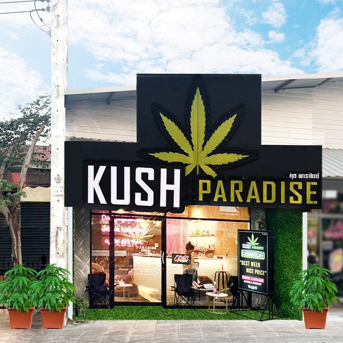 Kush Paradise Weed Cannabis Shop Cafe