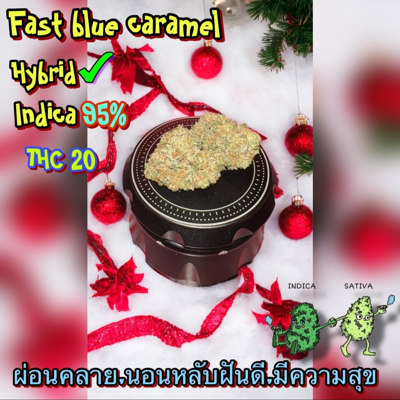 Cannabis Weed