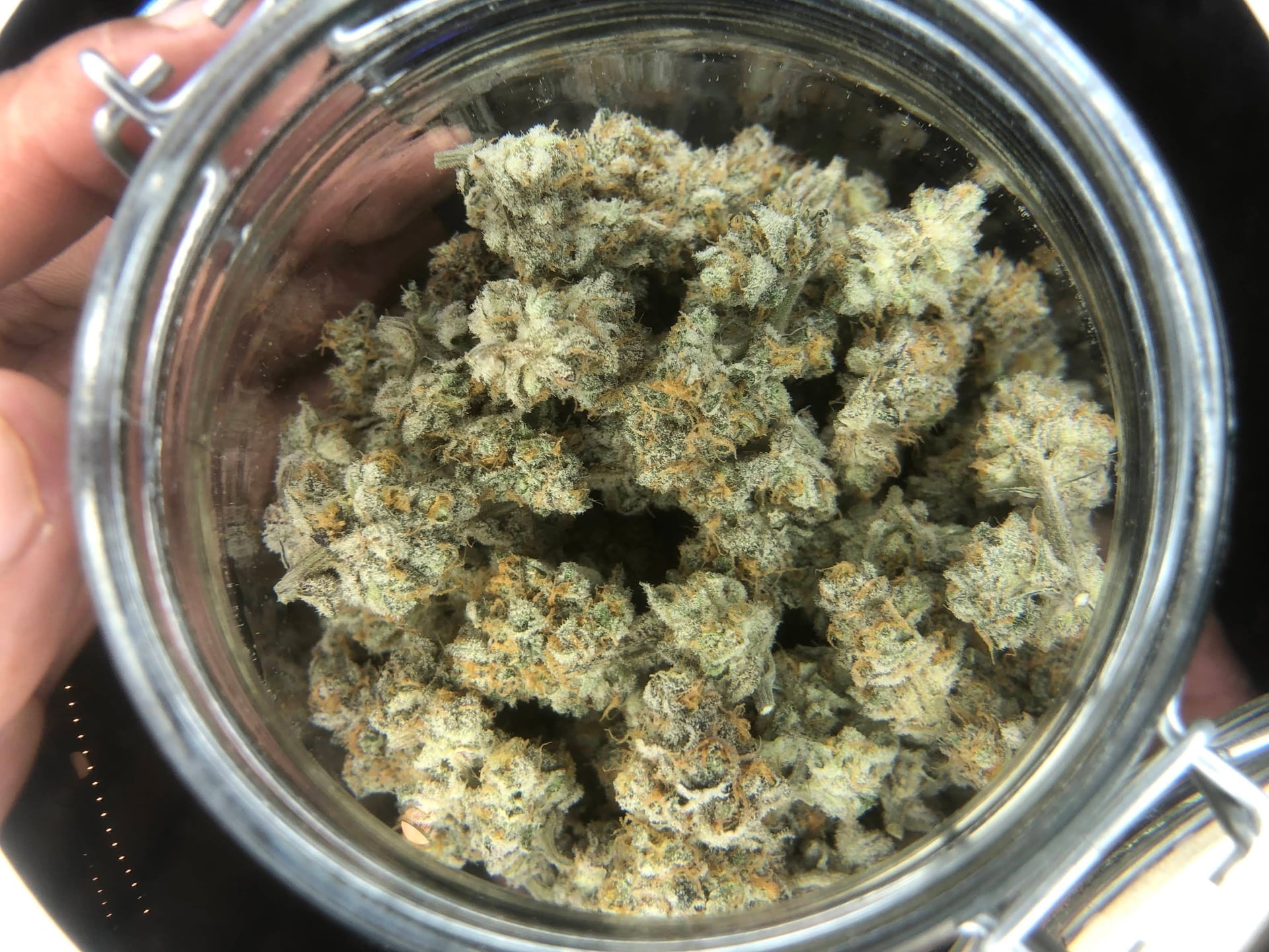 By Cannabis