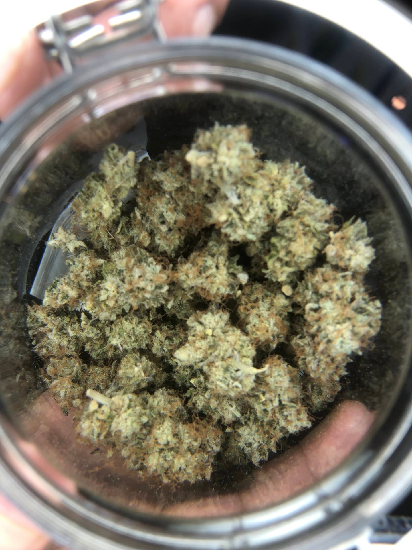 By Cannabis