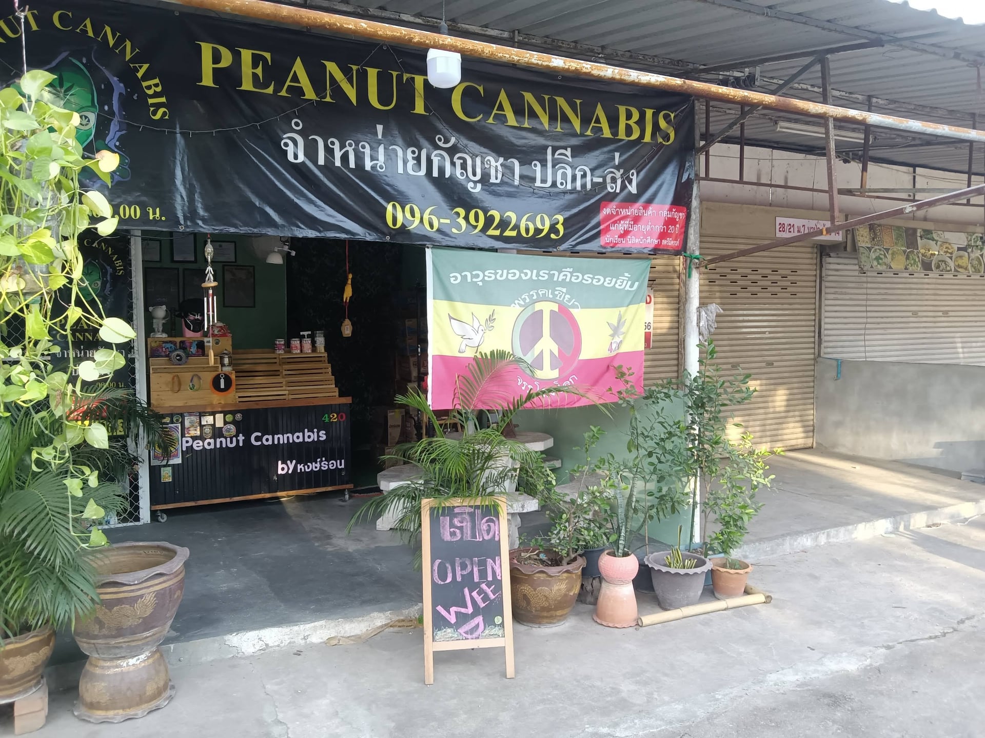 Peanut Cannabis
