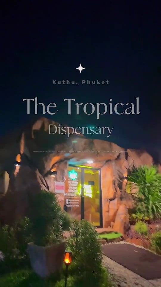 The Tropical