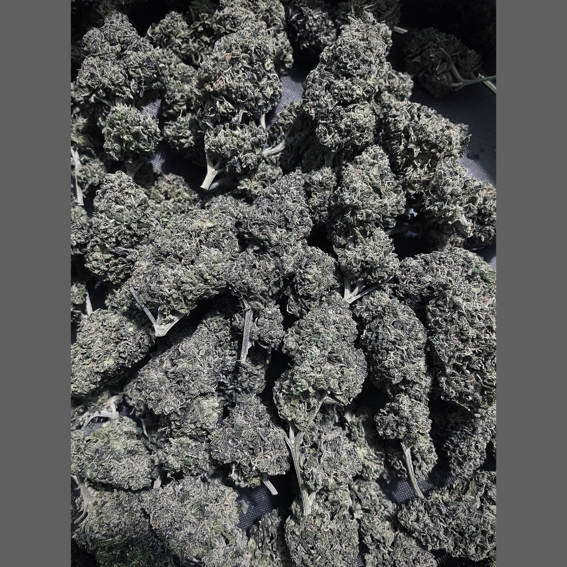 Cannabis Dispensary Konguneng.undergrow420 logo