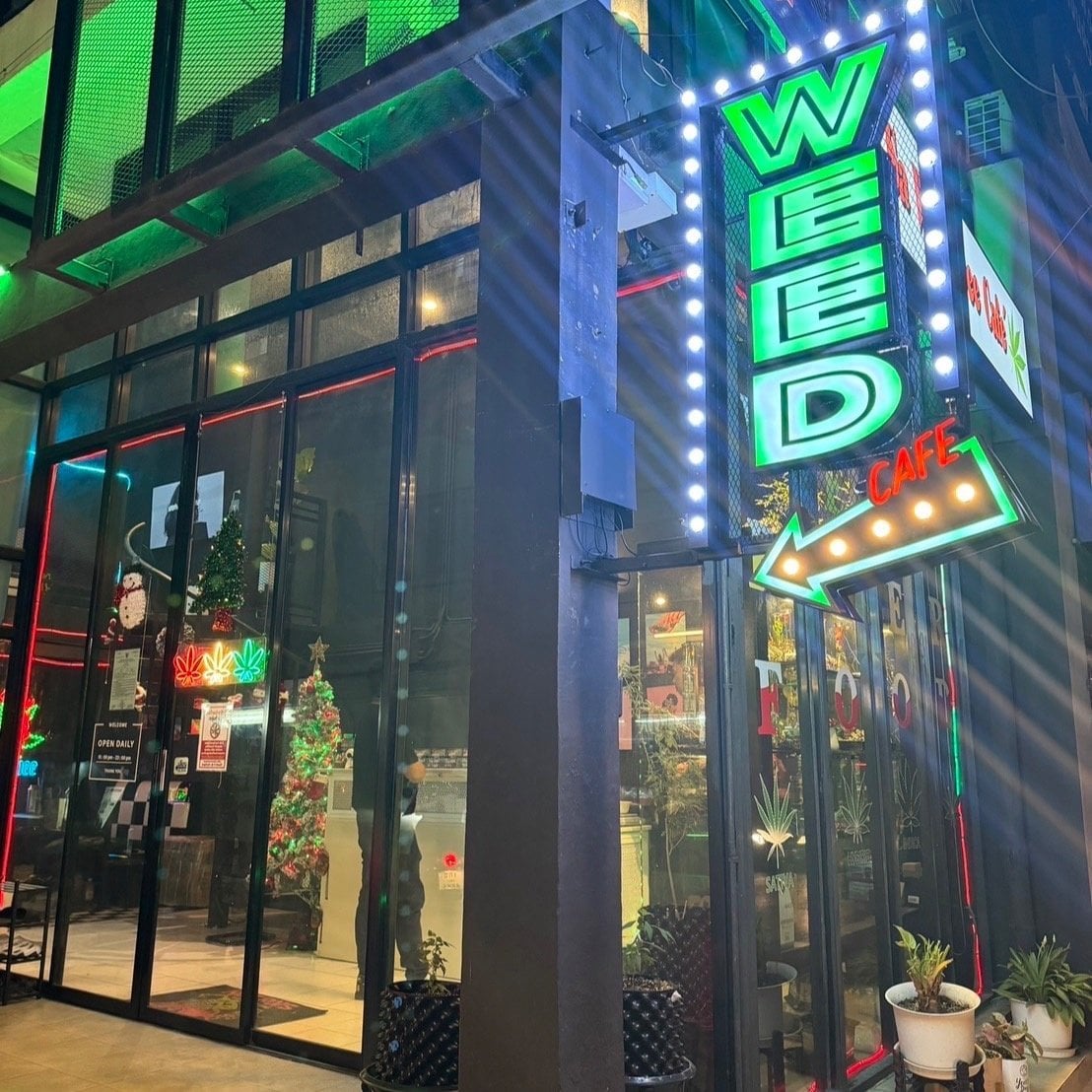 Saweeddee420Cafe Weed Shop Cannabis