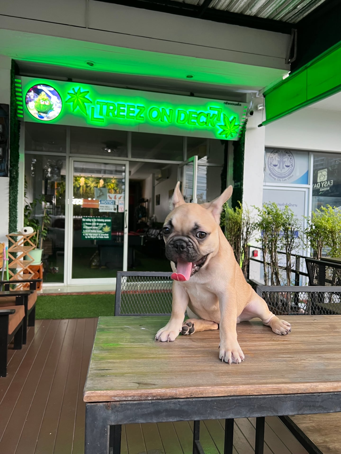 Tree Time Cafe And
