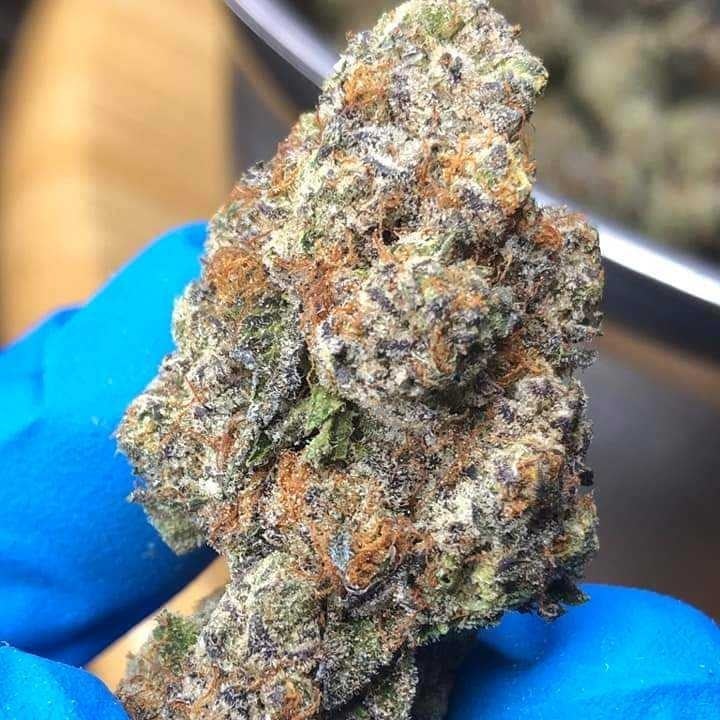 Master Ganja