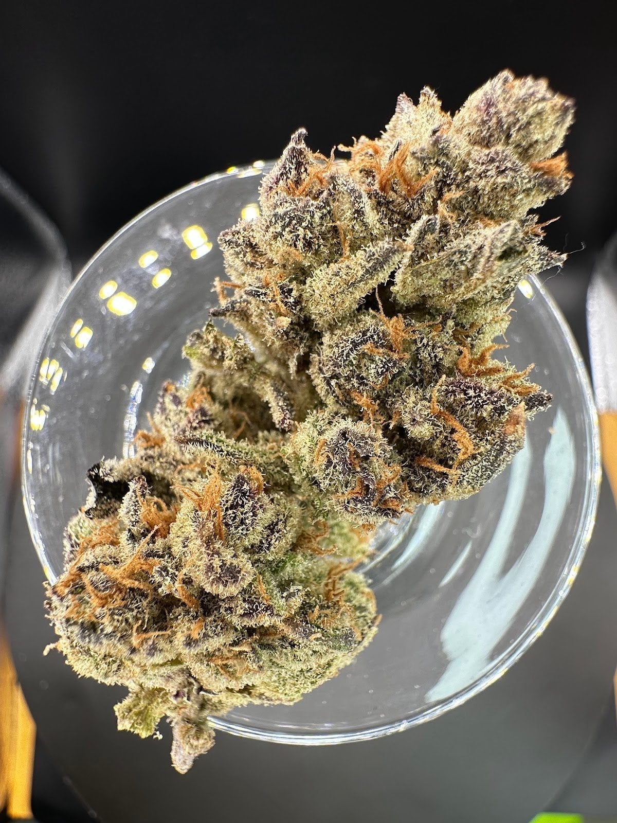 Purple Light & Weed Shop & Jomtien Weed