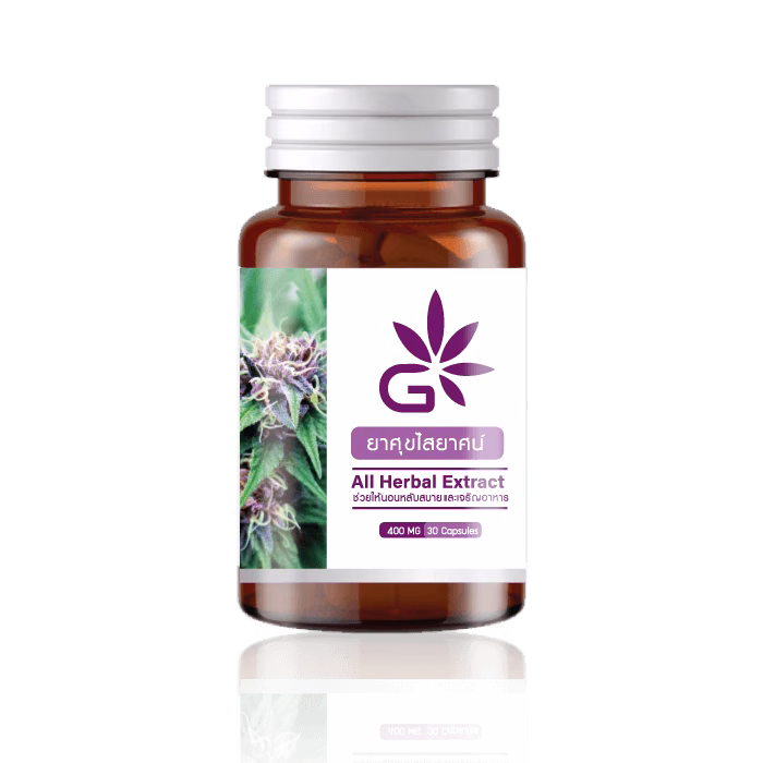 Cannabis Dispensary Thaistick Herb in Bangkok logo