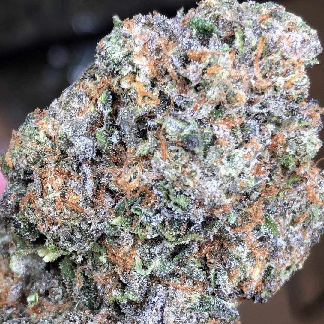 Master Ganja