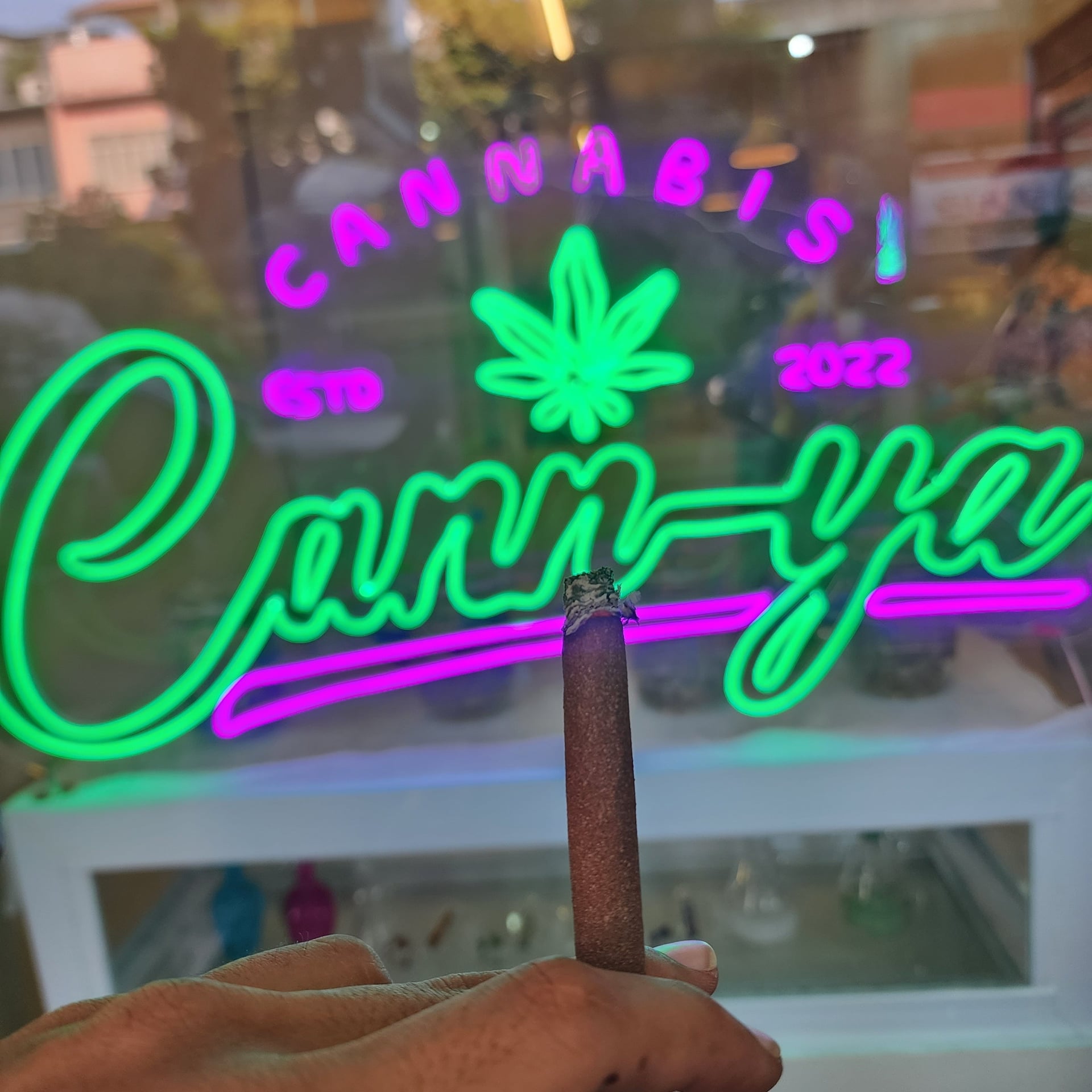 Cannya