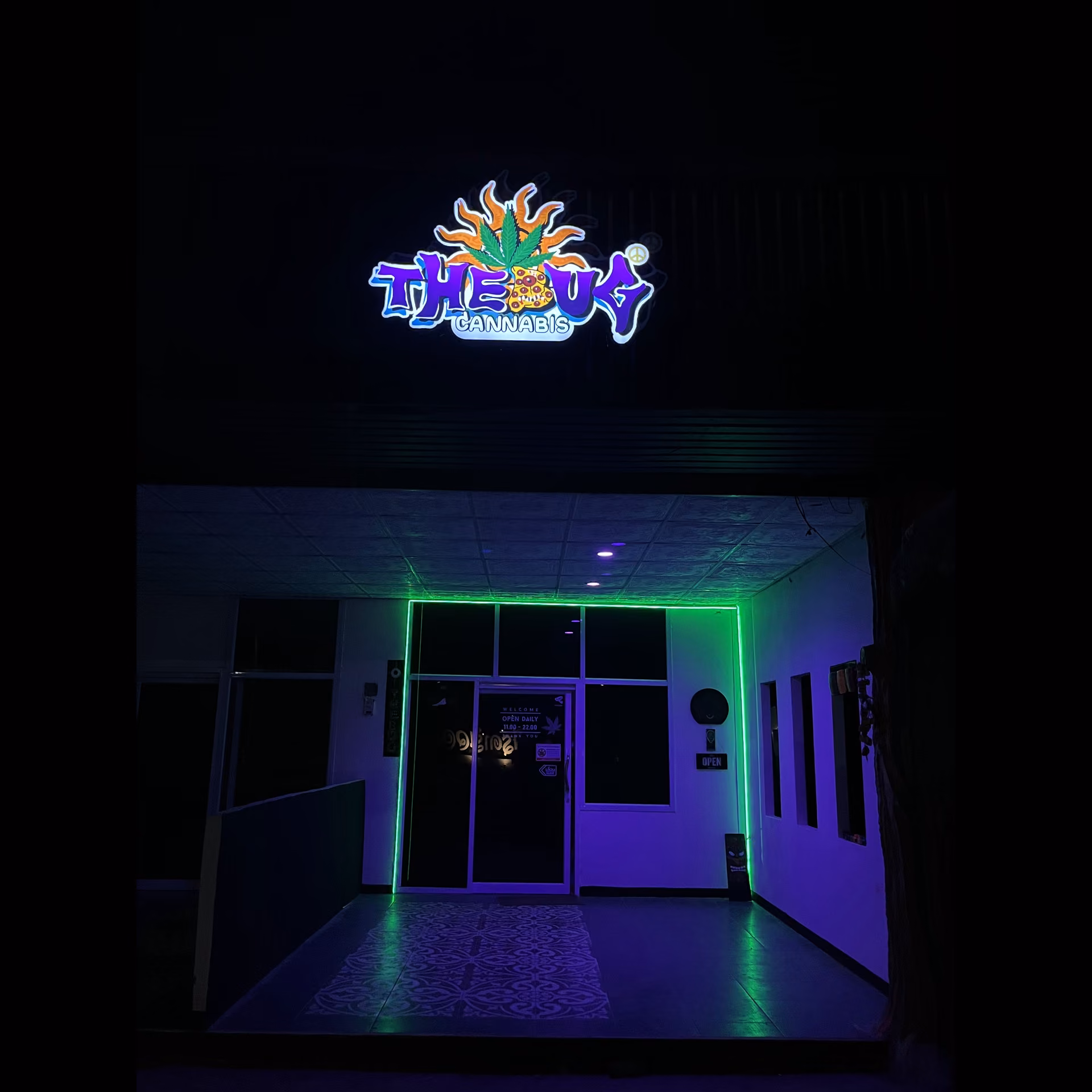 Cannabis Dispensary T H E B U G in Phibun Mangsahan logo