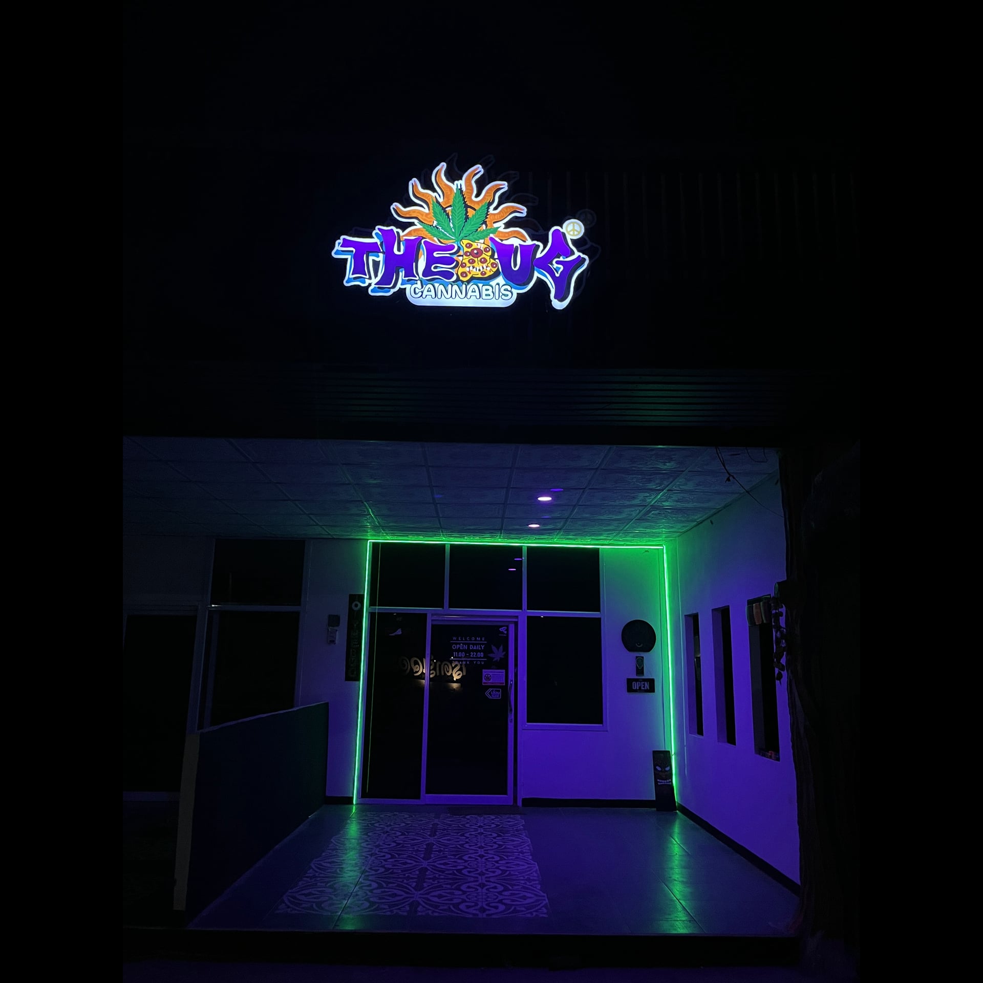 T H E B U G logo