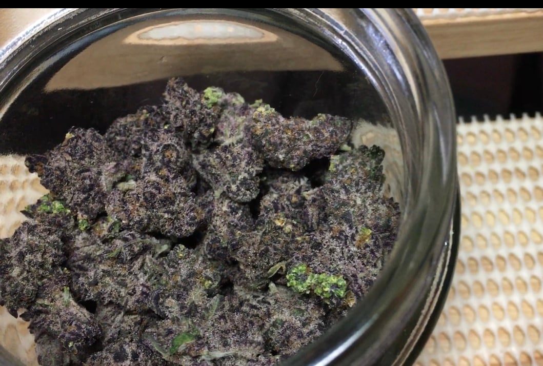 Friendly Bo Put