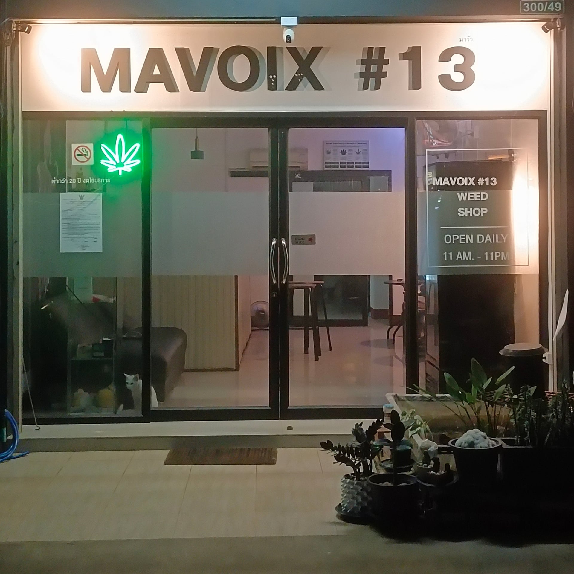 Mavoix#13