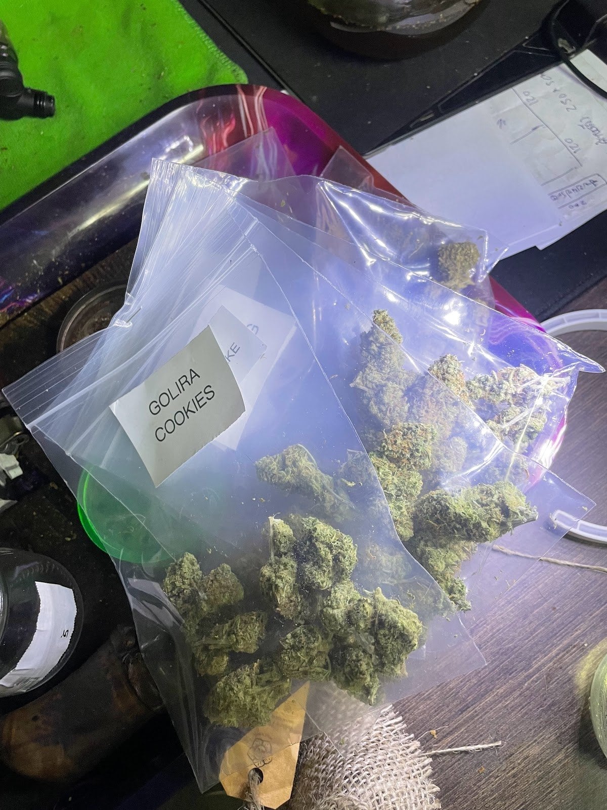 King Cannabis Warehouse - Weed Ganja