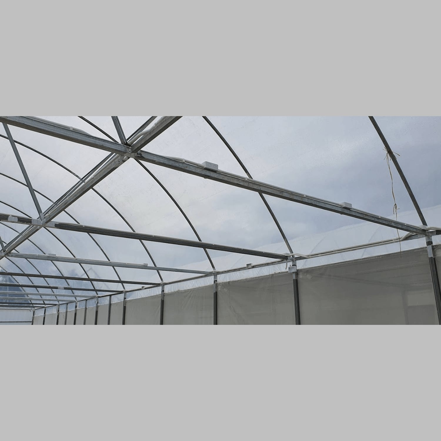 مستوصف القنب Kanchanaburi Medical Cannabis Model Cultivation Facility شعار