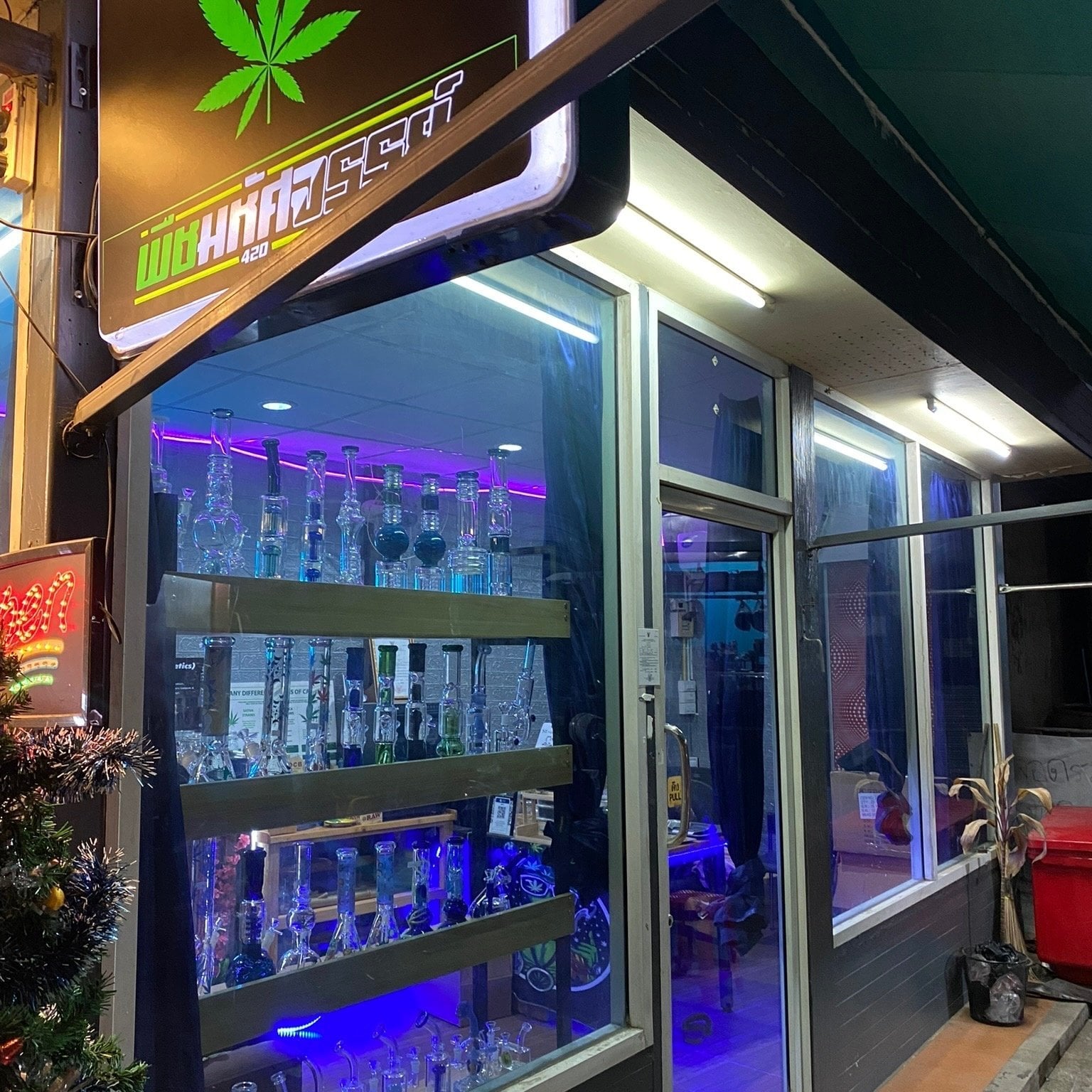 Wonder Plant Ramkhamhaeng 24