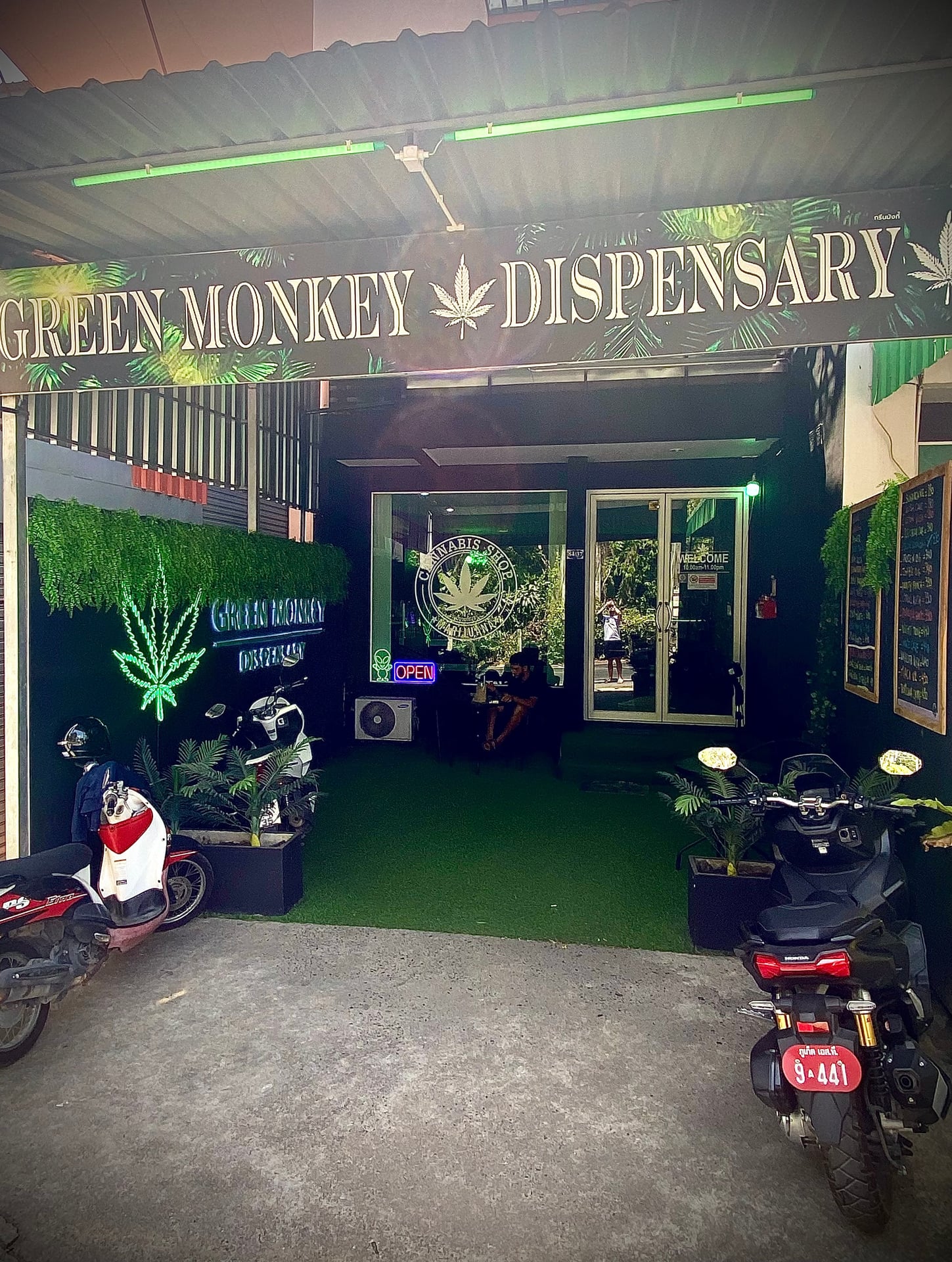 Jungle House