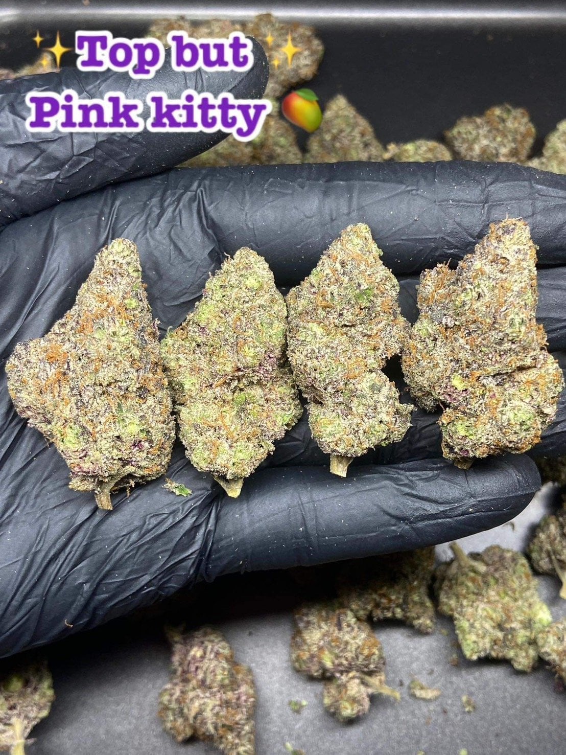 Cannabis 509 Cafe'