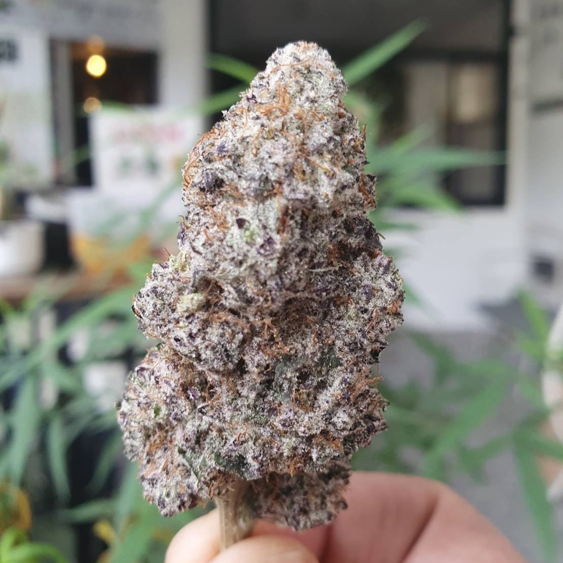 420Highandchic