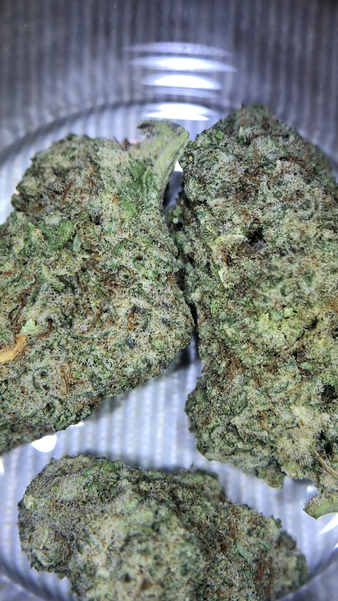 Budtender Boy