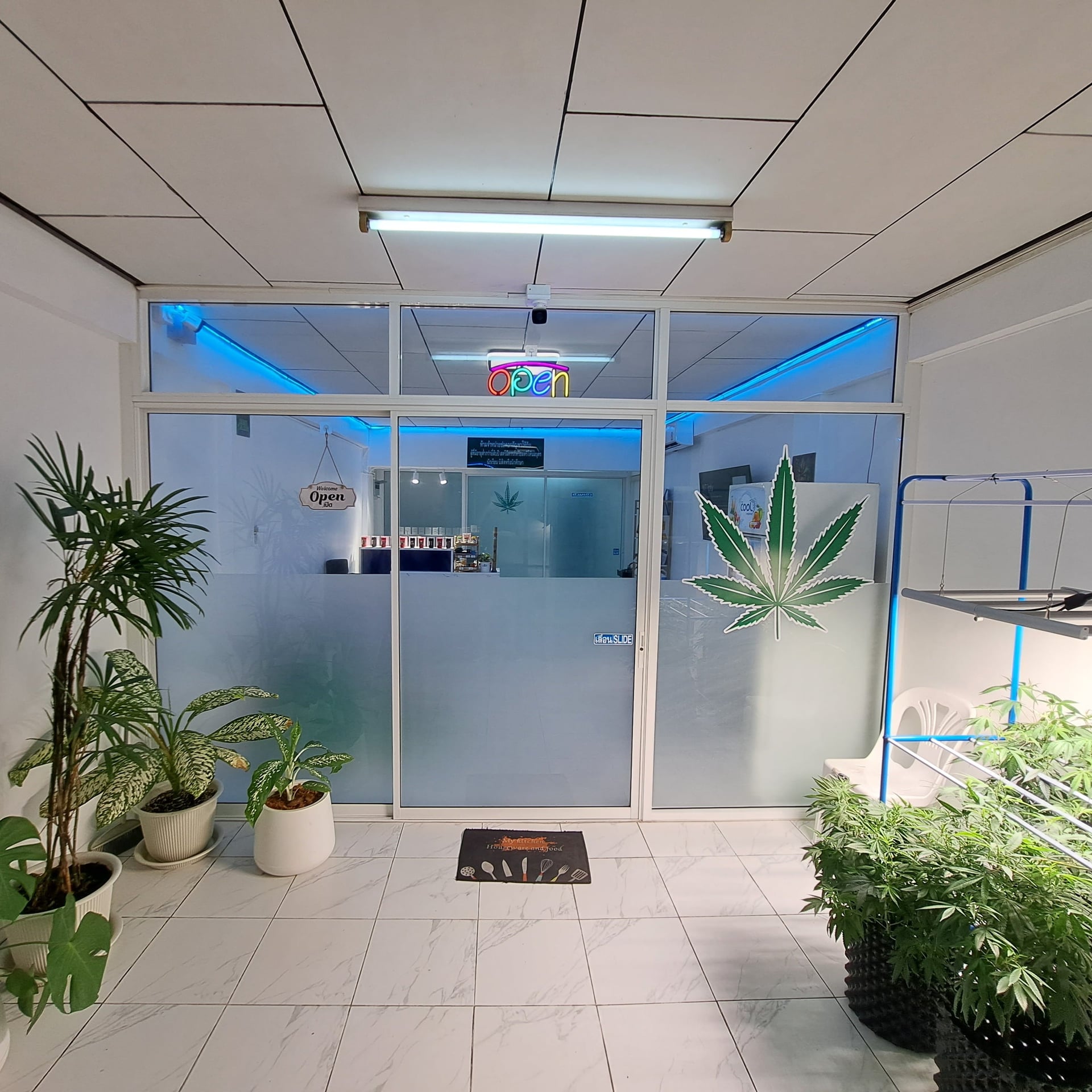 Tuk Tuk Cannabis