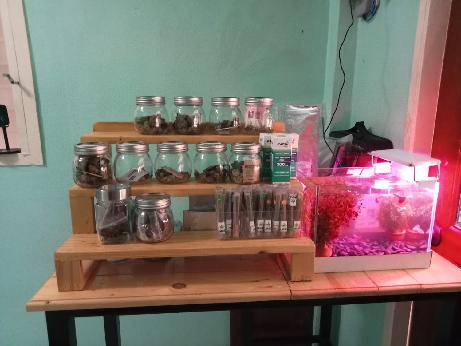 Bkkbudtender