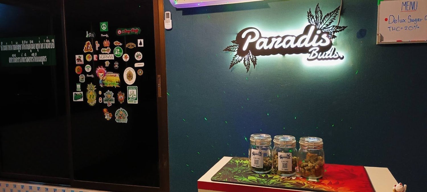 Paradis Buds