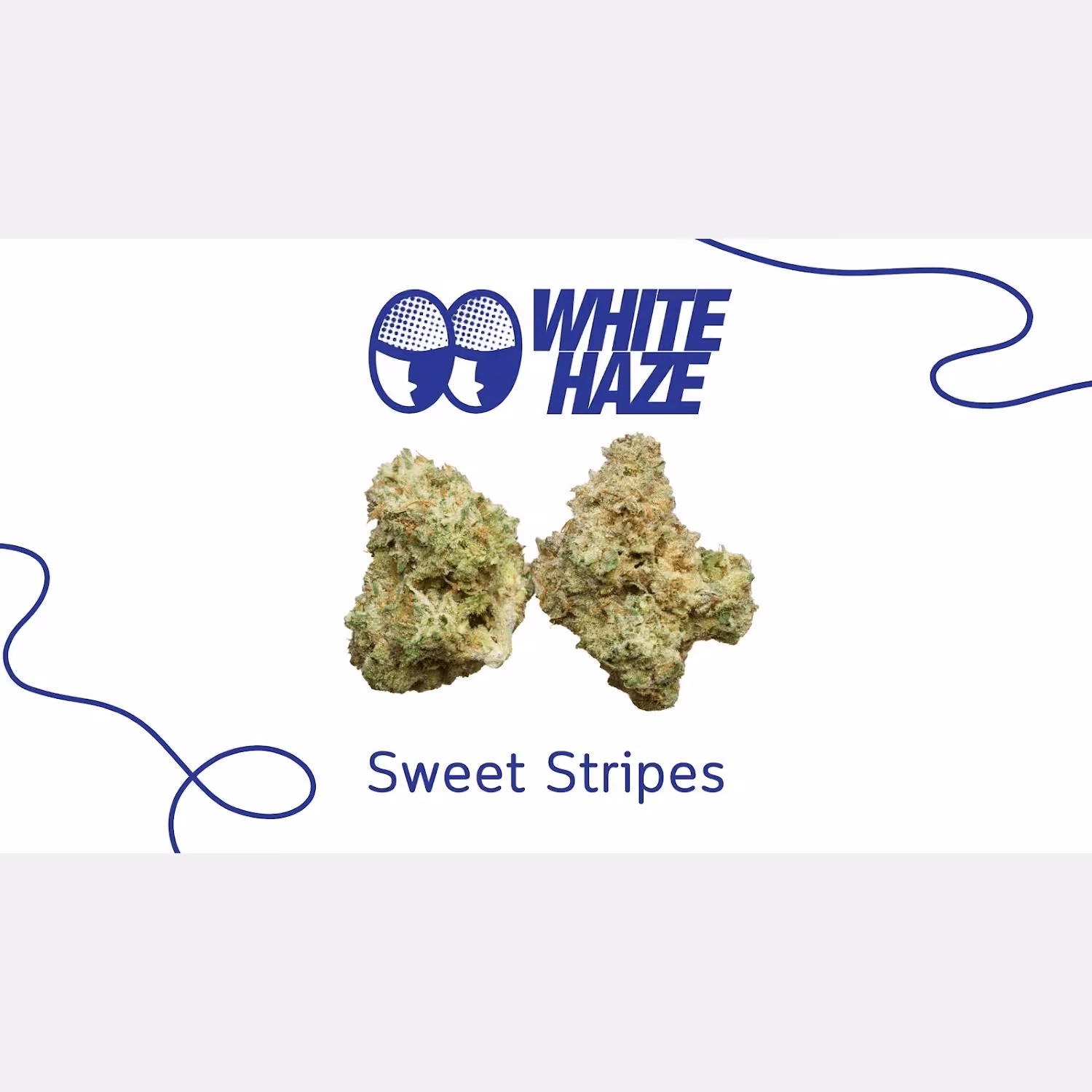 Cannabis Dispensary White Haze in Ko Samui logo